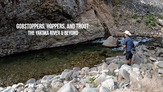 GOBSTOPPERS, HOPPERS, & TROUT: The Yakima River & Beyond