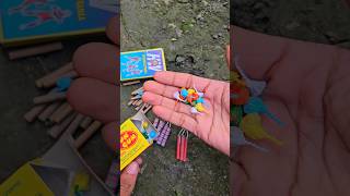 Different Types of Diwali Crackers Testing ~2025 🥳 Diwali Patakha Stash Testing in Hole 🕳 😜