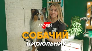 Бросила работу в IT, чтобы стричь собак #монолог грумера