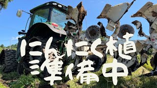 【農業】にんにく植付け準備