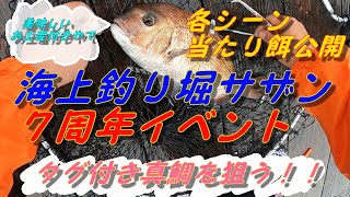 【海上釣堀】海上釣り堀サザンでタグ付き真鯛を釣って美味しいお土産GET！！※今回からシーン毎に当たり餌公開