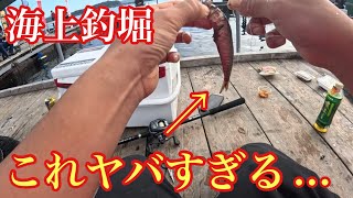 エサを落とした瞬間に魚が食ってしまう釣れすぎるエサを見つけてしまいました！【海上釣堀】