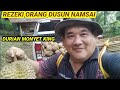 REZEKI ORANG DUSUN NAMSAI ..KERJA RUTIN HARIAN KUTIP BUAH DURIAN