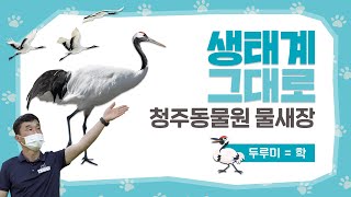 청주동물원-물새장편