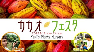 【カカオフェスタ 1日目】カカオって何！？4つの系統と色々な品種！育て方など！Yuki's Plants Nurseryからプレゼントのお知らせもあるよ！【本動画限定！】