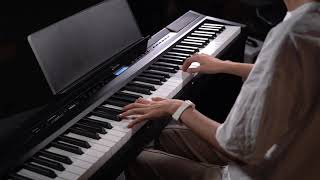 Donner Under $400 Portable Digital Piano with 88 Fully Weighted Keys