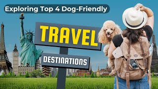 Exploring Top 4 Dog-Friendly Travel Destinations for Pet Lovers | Muddy Paws