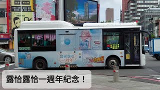 【2022年5月13日 205中華幹線 港都客運】露恰露恰一週年紀念公車！#公車上露獺足台灣  #露恰露恰一周年  #露恰一週年 #LutraACG