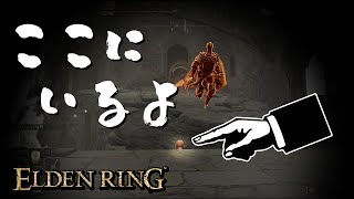 【エルデンリング】汚い侵入　part5【ELDEN RING】