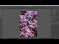 【photoshop cc講座】 自然な彩度を調整して写真を鮮やかに仕上げる方法