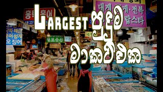 දකුණු කොරියාව විශාලතම මාළු වෙළඳසැලsouth korean bigest fish market and sea foods 자갈치 시장