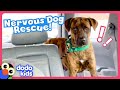 Barking Dog Turns Into The Biggest Cuddlebug! | Dodo Kids | Rescued!