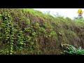 the hidden treasures of neyyar dam unknown places you must see in neyyar dam enjoy the 4k video.