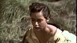 TARZAN E A EXPEDIÇÃO PERDIDA - DUBLAGEM HERBERT RICHERS