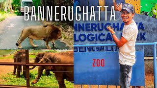 A Day at Bannerghatta National Park | Unforgettable Safari \u0026 Nature Trails #BannerghattaNationalPark