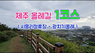 제주 올레에서 가장 먼저 열린 길 '제주올레길 1코스' (시흥리정류장~광치기해변)