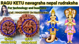 RAGU KETU navagraha nepal rudraksha.