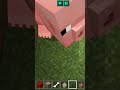 #types of pet owner in Minecraft # Minecraft gaming #trending short #like subscribe 😎😎