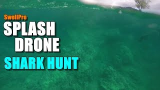 SwellPro Waterproof SPLASH DRONE Review - Part 4 - Shark Hunt!