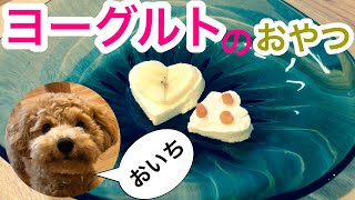 ヨーグルトを水切りして犬のおやつを作ってみた☆バナナとニンジンで飾り付け☆