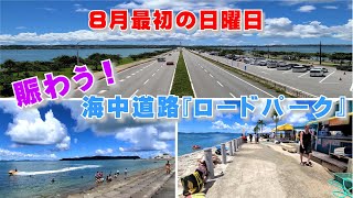 ◤沖縄観光◢  うるま市一押しの観光スポット『海中道路ロードパーク』 ♯364｜キングタコス与勝店｜肉や食堂 in へん座｜  沖縄旅行 おきなわさんぽ