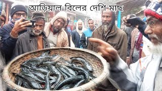 ধুবলি বাজার দেশি আরিয়ান বিলের তাজা মাছের সস্তায় যাচ্ছে fishmarket