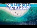 Moalboal Philippines Travel Guide 2024