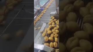 Automatic fritters making machine，全自动油条生产设备