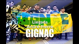 Recibimiento a André Pierre Gignac por hinchada de Tigres