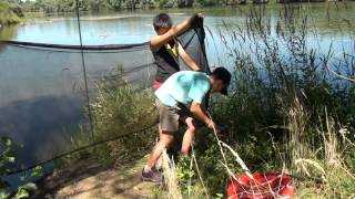 stage trappeur graviere oiseaux