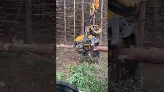 Ponsse H7HD processing softwood plantation