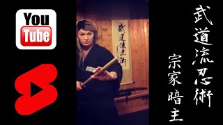 Ninja Martial Arts Hanbojutsu Training Techniques (Stick Fighting) Ninjutsu, Ninpo, Bujutsu, Budo