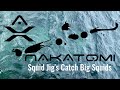 Nakatomi Squid fishing Jigs Pro Egi Lures Catch Giant Big Squids | Nakatomi专业木虾上大鱿鱼记录片#squidfishing