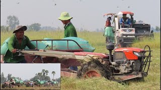 ម៉ាស៊ីនម៉ាស៊ូតគូបូតាដឹកស្រូវ | KUBOTA ZT140, ZT155 Diesel engine transport rice and Stuck in mud