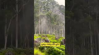 යන්න ‍නියම තැනක් මන්දාරම් නුවර Mandaram Nuwara Grate Place to Visit Sri Lanka 💚🇱🇰