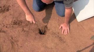 How to Install Baseball and Softball Bases