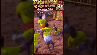 இந்த மாட்டை புடிச்சா 10,000 ரூபாய் பரிசாமே..! | Suriyur Jallikattu | Pongal 2024 | Trichy