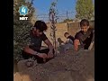 son reciting quran at his mother s grave 😢❤️ mother❤️ emotional motivation studio