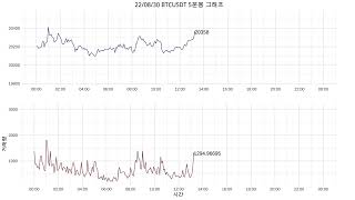 220830 비트코인 5분봉 (BTCUSDT) + 거래량 그래프