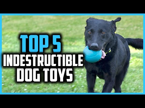 Is there an indestructible dog toy?