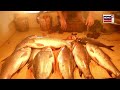 nagaon fish market ৩১ ডিচেম্বৰৰ নিশা কি খাব চিতল আঁৰি নে বাহু নগাঁৱৰ মাছৰ বজাৰৰ পৰা live