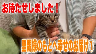 譲渡会後の幸せのお届けシリーズ①【Foster home system】