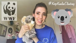 🐨 WWF Symbolic Koala Adoption Unboxing 🐨 #KeepKoalasClimbing 🐨