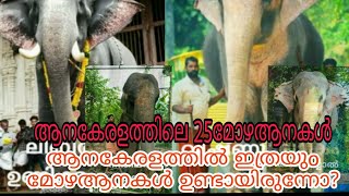 കേരളത്തിലെ 25മോഴആനകൾ കേരളത്തിൽ ഇത്രയും മോഴആനകൾ ഉണ്ടായിരുന്നോ? Kerala  25 mozha elepant