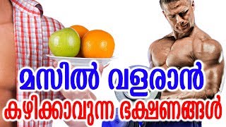 മസിൽ വളരാൻ കഴിക്കാവുന്ന ഭക്ഷണങ്ങൾ | Best foods for muscle growth |  Muscle-Building Foods Tips