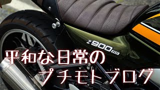 平和な日常のプチモトブログ【Z900RS】