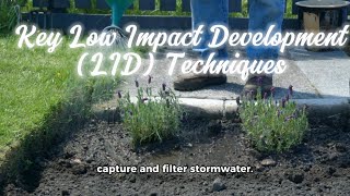 Key Low Impact Development (LID) Techniques