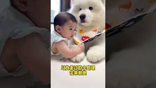 人类幼崽会爬后～