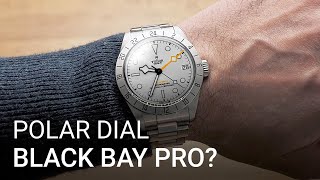 Polar Pro? White dial TUDOR Black Bay Pro for 2023, Moonshine MoonSwatch madness