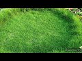 मैने अपने छत पर घास कैसे उगाई बिना किसी नुकसान के how to create lawn on rooftop without any damage